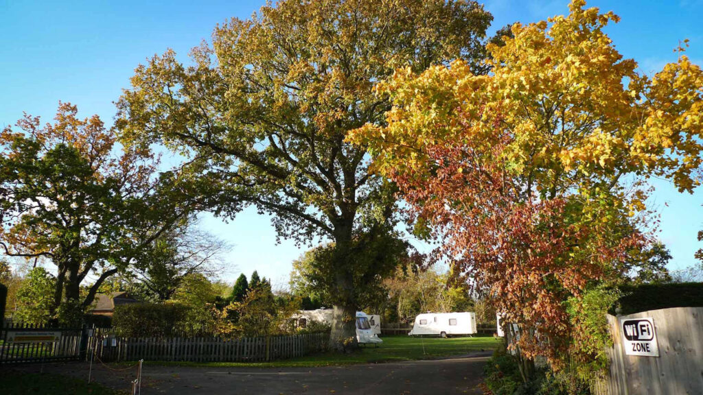 Broadhembury-5f918a18a287e