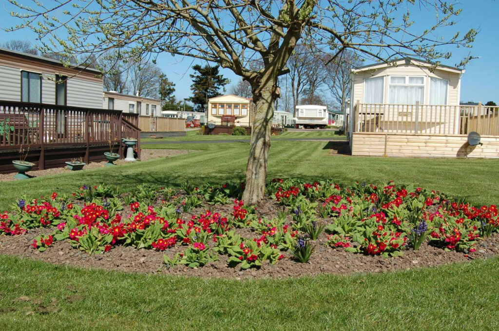 Ord House-5f96e4af532ab