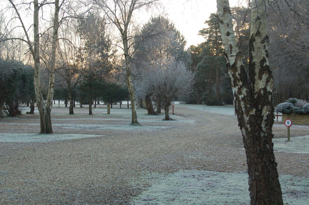 Wareham Forest-5f9140a9e0ea4