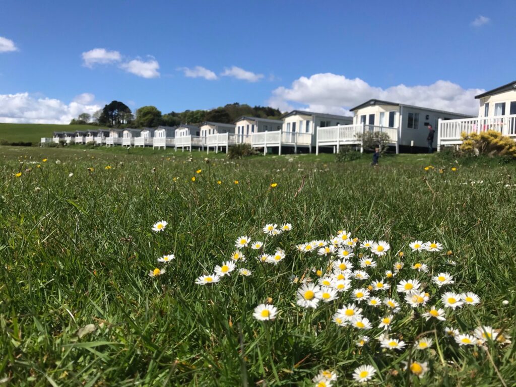 Ladram Bay 1-60b0bc357bdcf