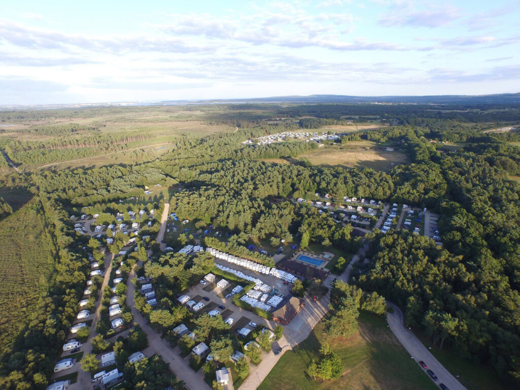 Wareham Forest 1-6242e21ed52c9