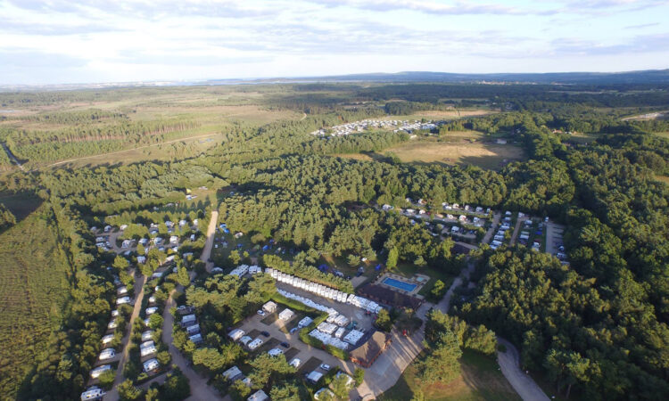 Wareham Forest 1-6242e21ed52c9