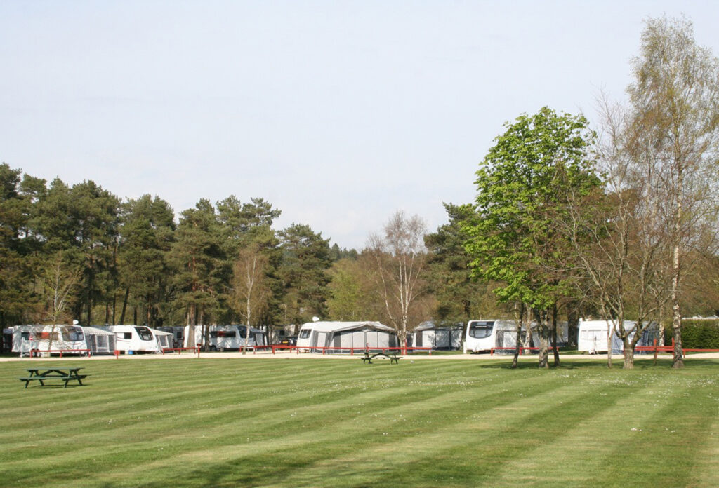 Wareham Forest 2-6242fe43bb6db