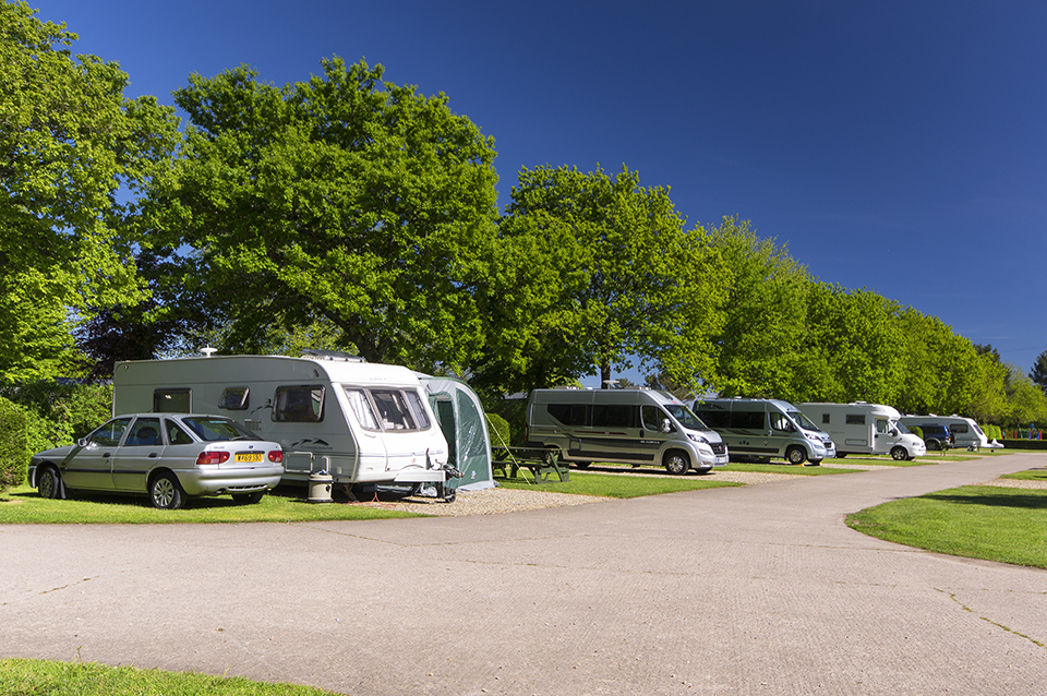 Oakdown 7-628cfde99b41f