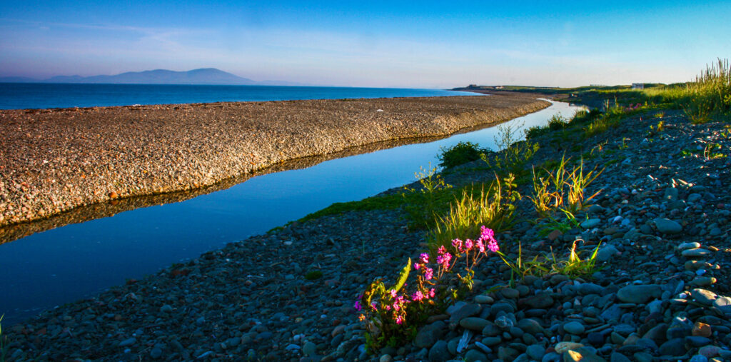 Solway at Allonby