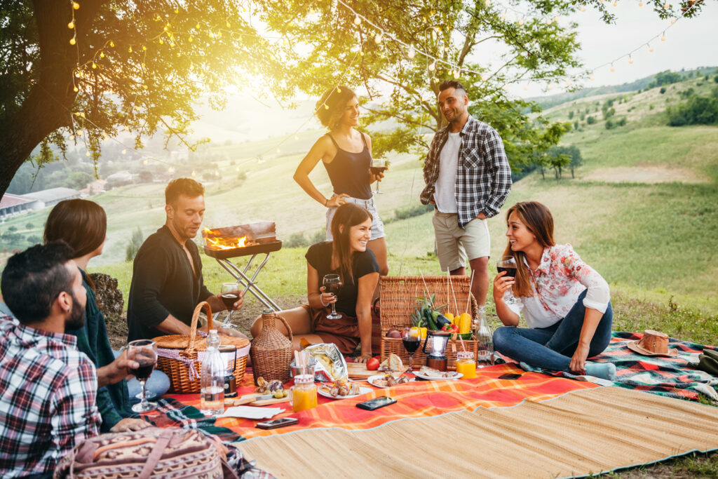 Picnic in the countryside. Group of young friends, at sunset on