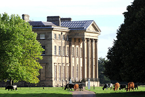 Attingham Park