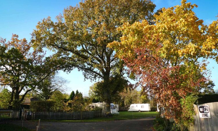 Broadhembury Holiday Park