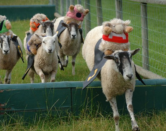 Hatton Country World