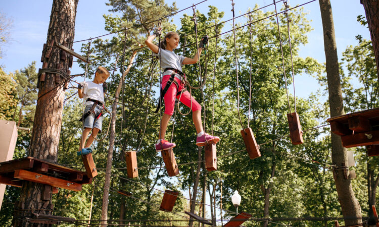 Norfolk -high ropes