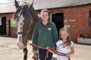 ParkHall Countryside Experience