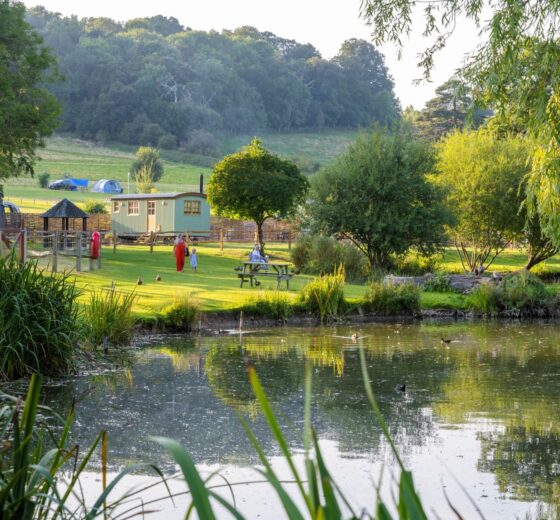 Swiss Farm Touring & Camping