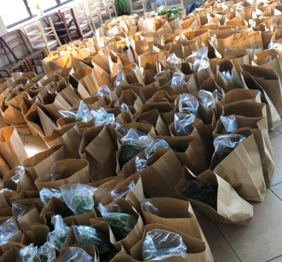 Swiss Farm Touring & Camping