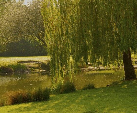 Swiss Farm Touring & Camping