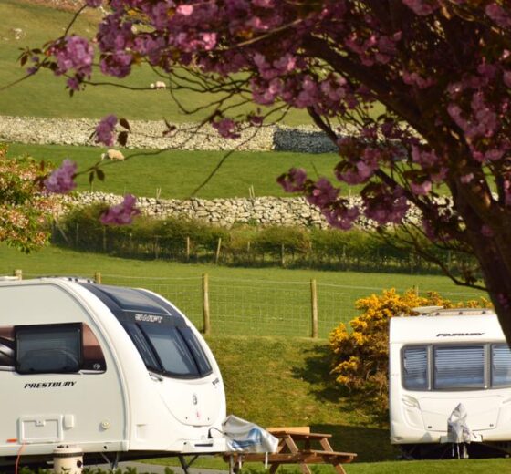 Trawsdir Caravan & Camping Park_13