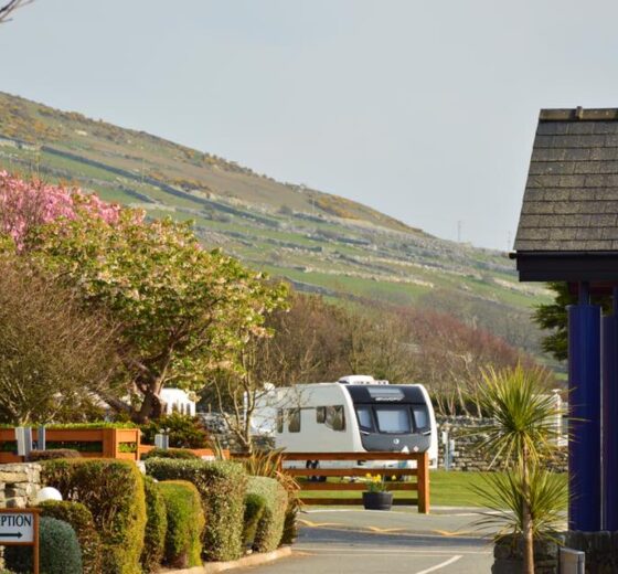 Trawsdir Caravan & Camping Park_15