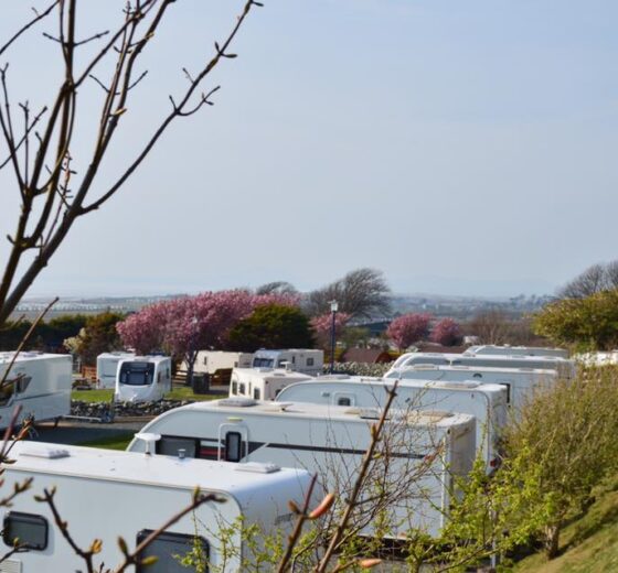 Trawsdir Caravan & Camping Park_16