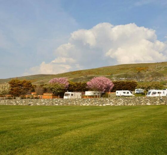 Trawsdir Caravan & Camping Park_17