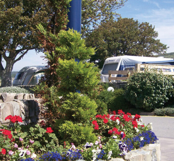 Trawsdir Caravan & Camping Park_18