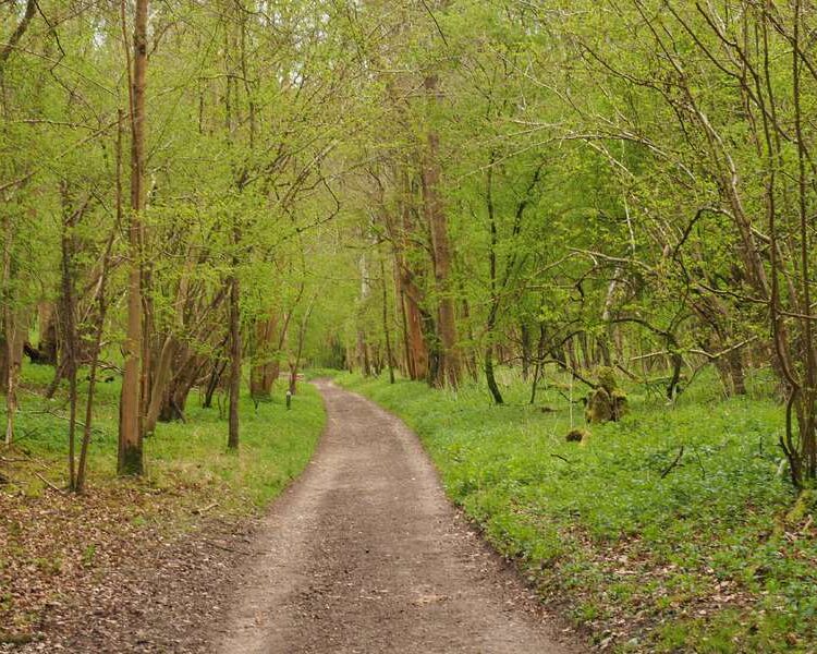 WarburgNatureReserve