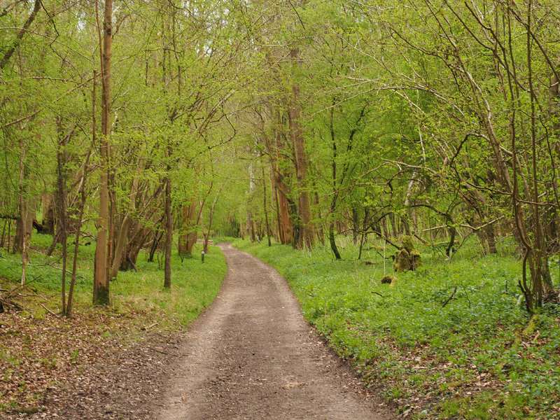 WarburgNatureReserve