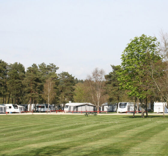 Wareham Forest Tourist Park