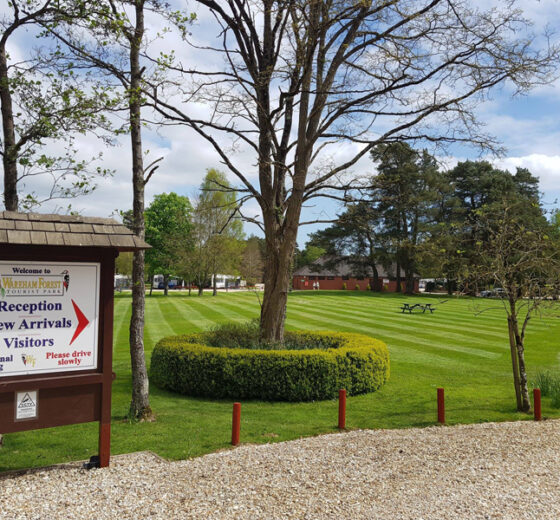 Wareham Forest Tourist Park