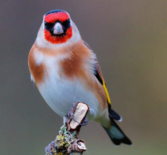 Waterrow Touring Park