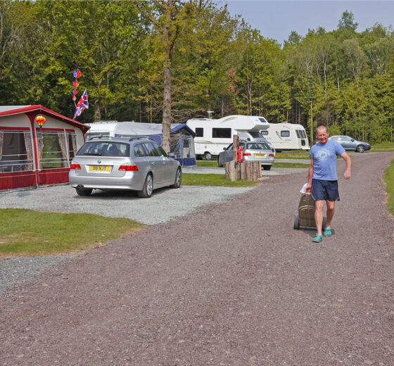 Whitefield Forest Touring Park