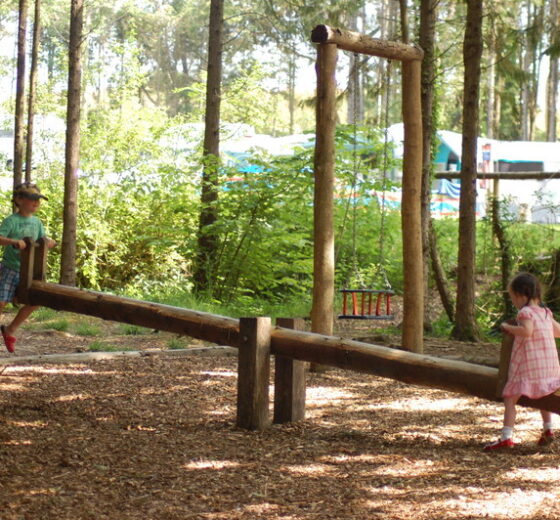 Whitefield Forest Touring Park