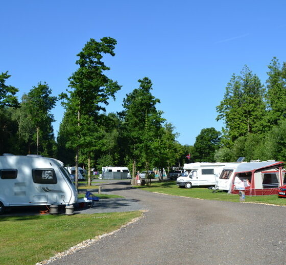 Whitefield Forest Touring Park