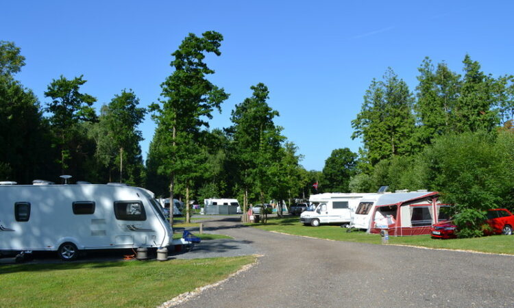 Whitefield Forest Touring Park