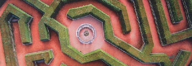 Wye Valley Butterfly Zoo