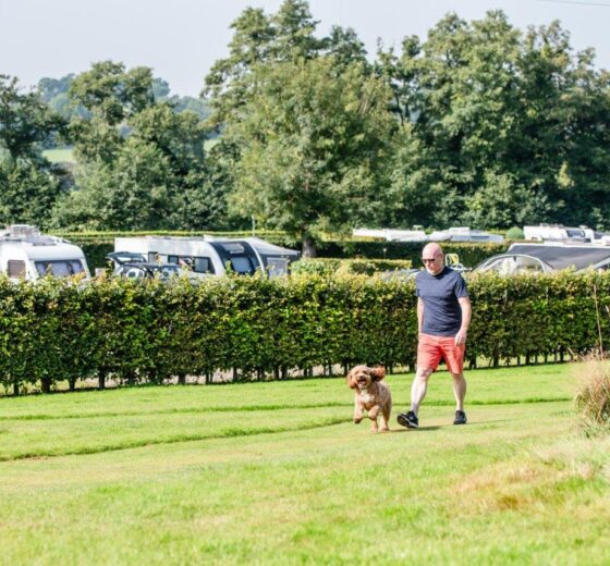 Man walking his dog in field next to caravan.