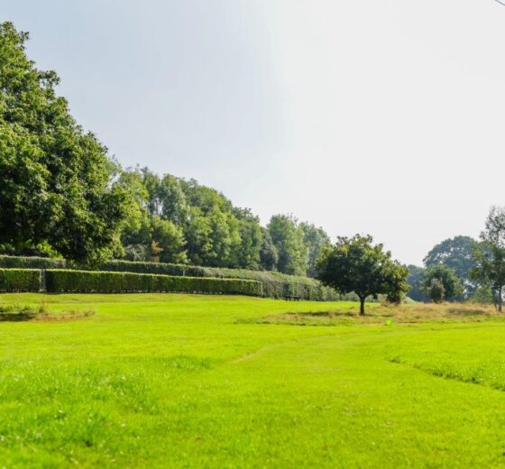 poston_mill_touring_park