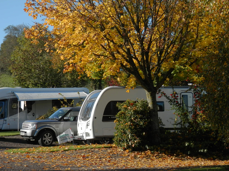 Old Oaks-5f3bc1d420e8b