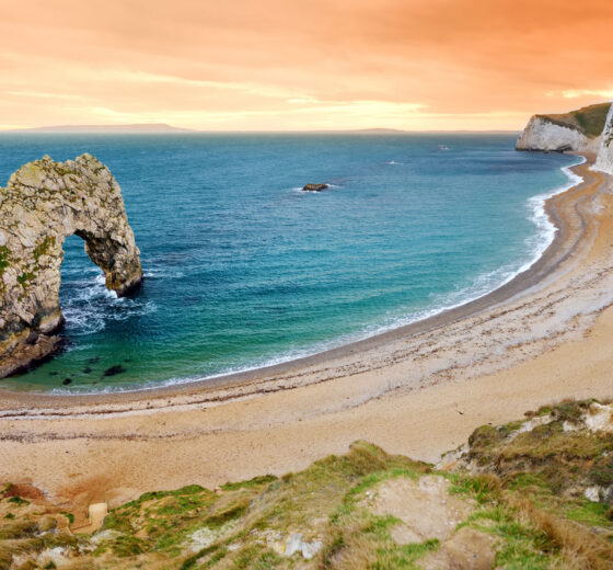 dorset