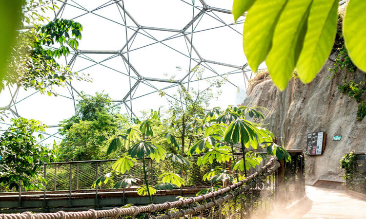 eden project cornwall