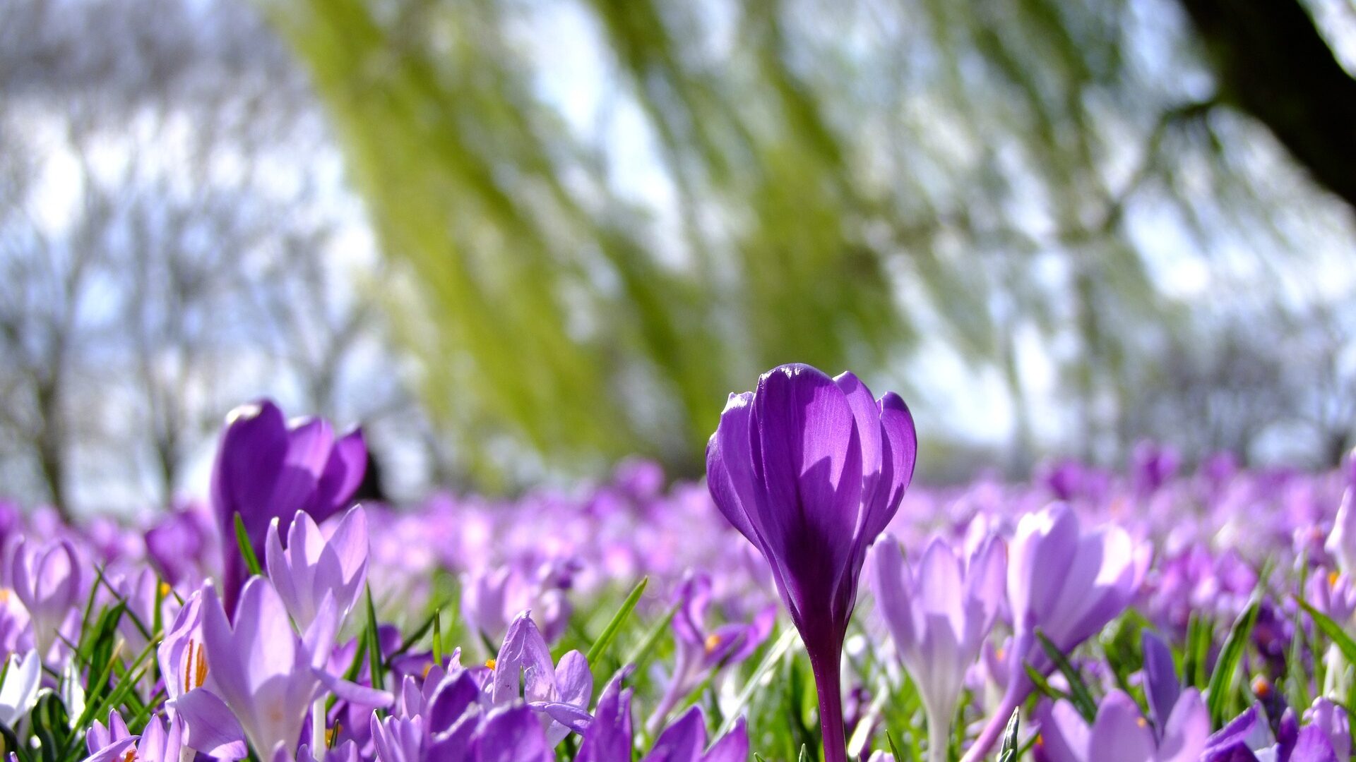 8 Reasons To Go On A Caravan Holiday This Spring