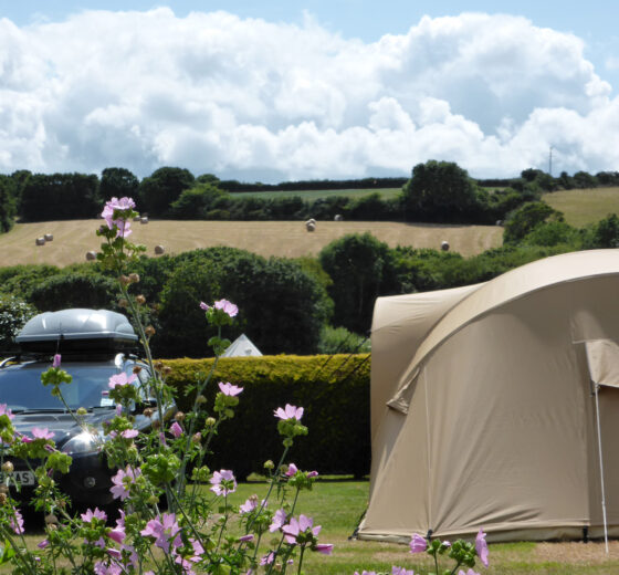 Trethem Mill Touring Park