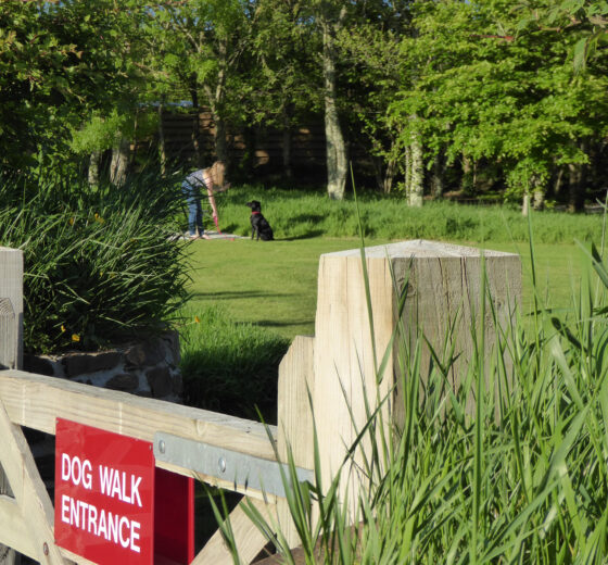 Trethem Mill Touring Park