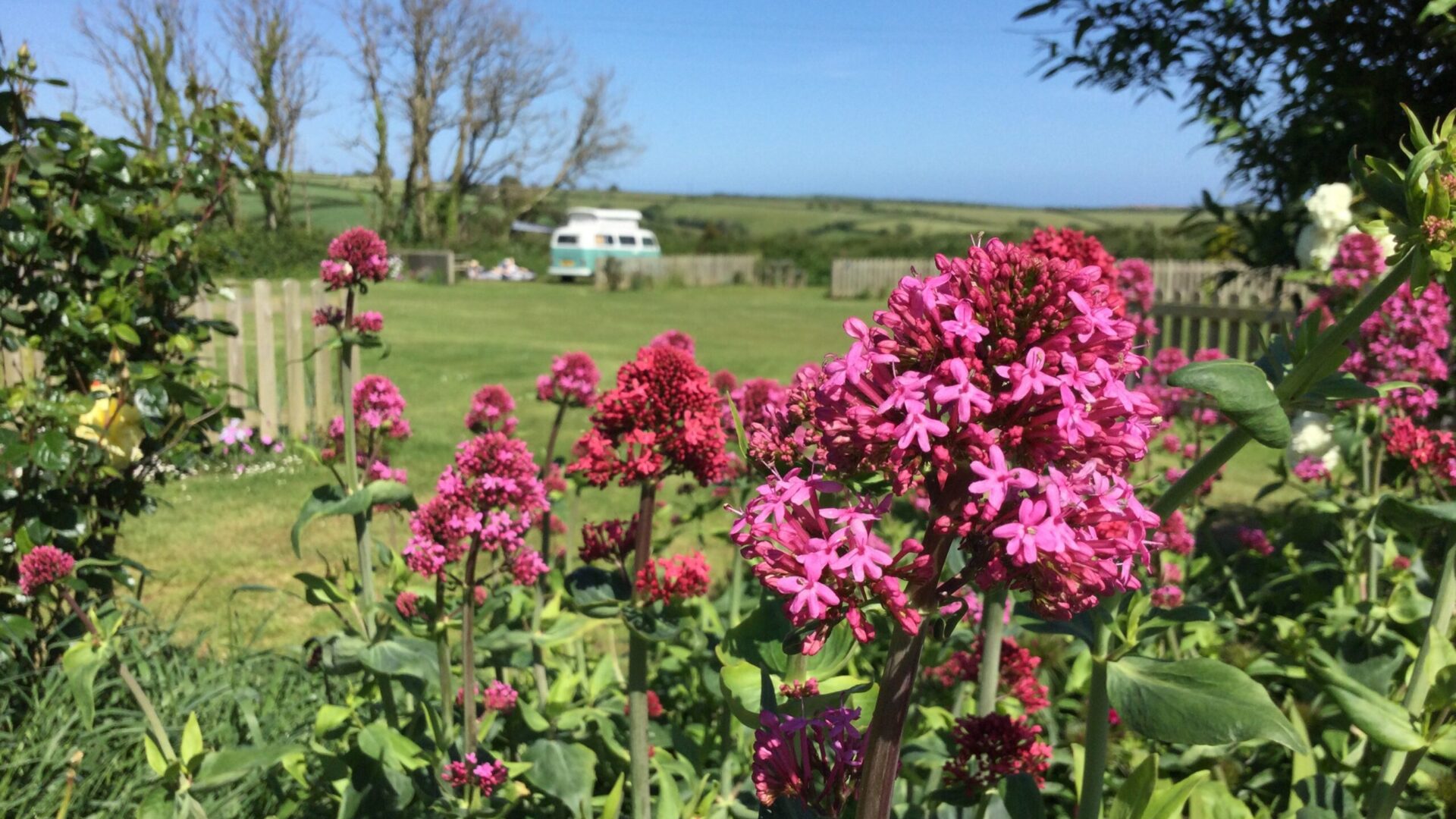 Parkland Caravan and Camping Site – New Best Of British Holiday Park!