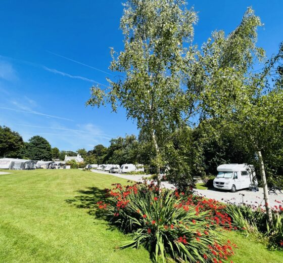 Woodovis Park – Devon Tourism Awards – GOLD Award Winners!