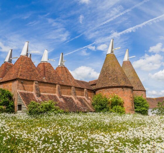 FOCUS ON: Kent Holiday Parks