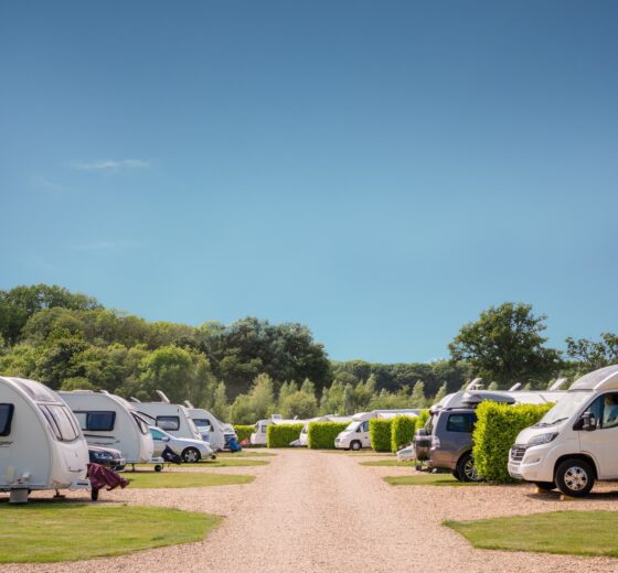 Environmentally Friendly Holiday Parks FOCUS – South Lytchett Manor, Dorset
