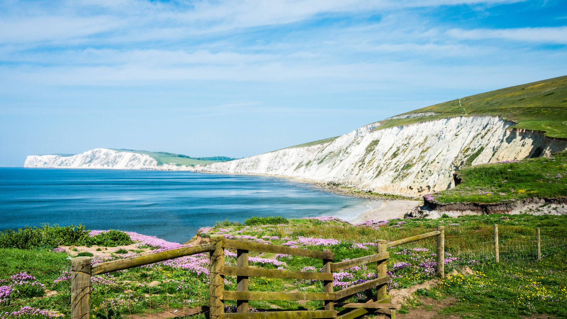 ALL ABOUT… Whitefield Forest Touring Park – Isle of Wight