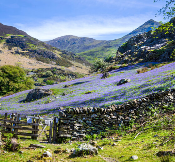 Off The Beaten Track – The Lake District & Cumbria In Spring