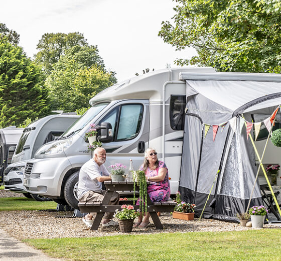 Guests relaxing on the park