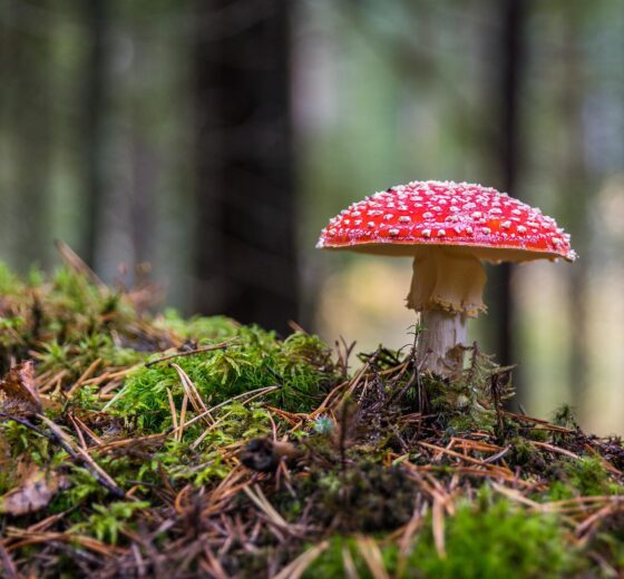 Autumn and Winter Touring Holidays – 10 Reasons To Try It!