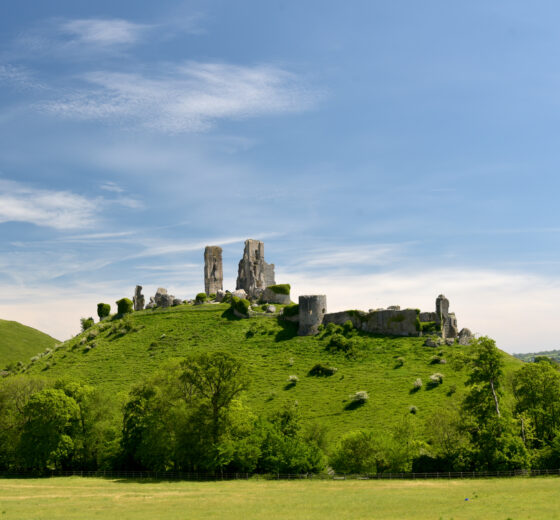 Dorset Touring, Camping and Glamping Luxury Holiday Parks